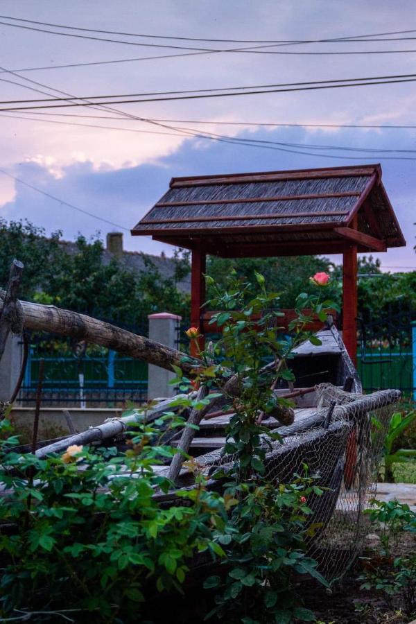Casa Rasaritul Soarelui Sarichioi Hotel ภายนอก รูปภาพ