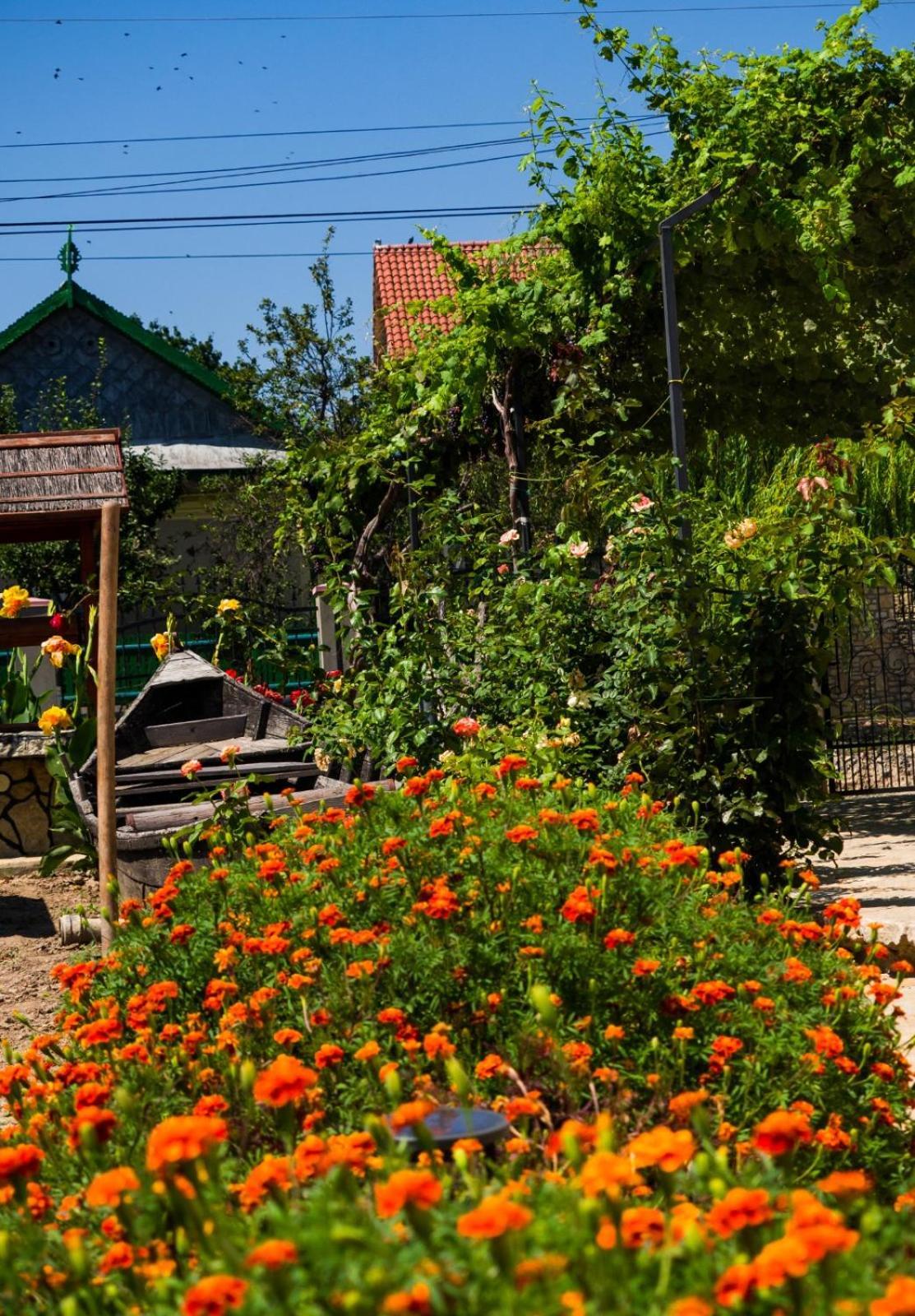 Casa Rasaritul Soarelui Sarichioi Hotel ภายนอก รูปภาพ