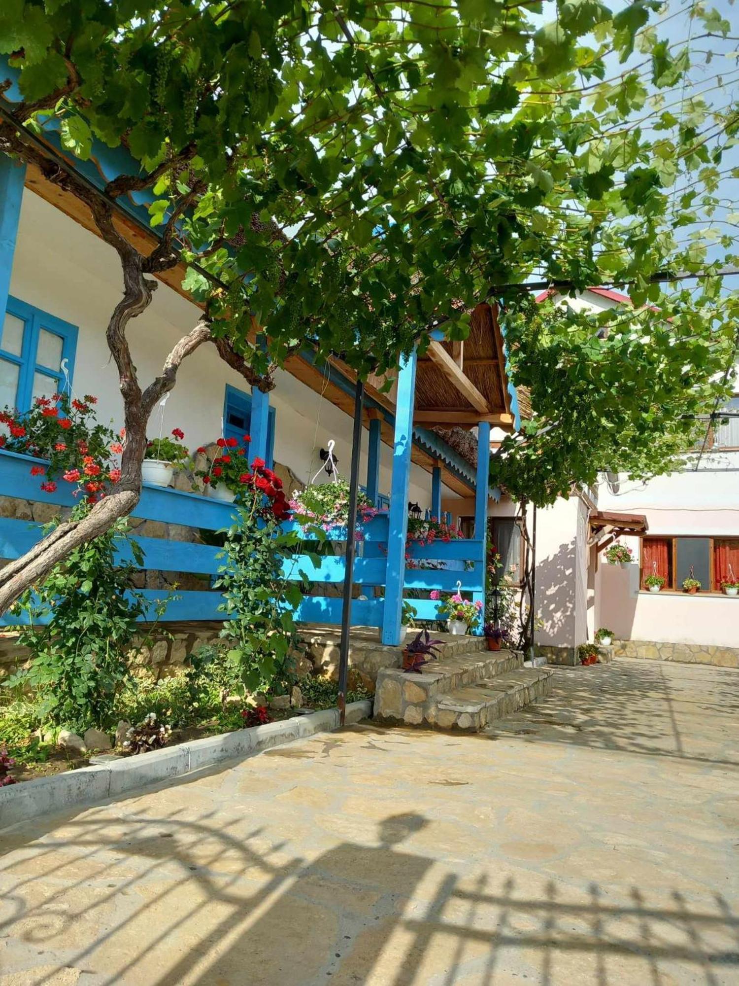 Casa Rasaritul Soarelui Sarichioi Hotel ภายนอก รูปภาพ
