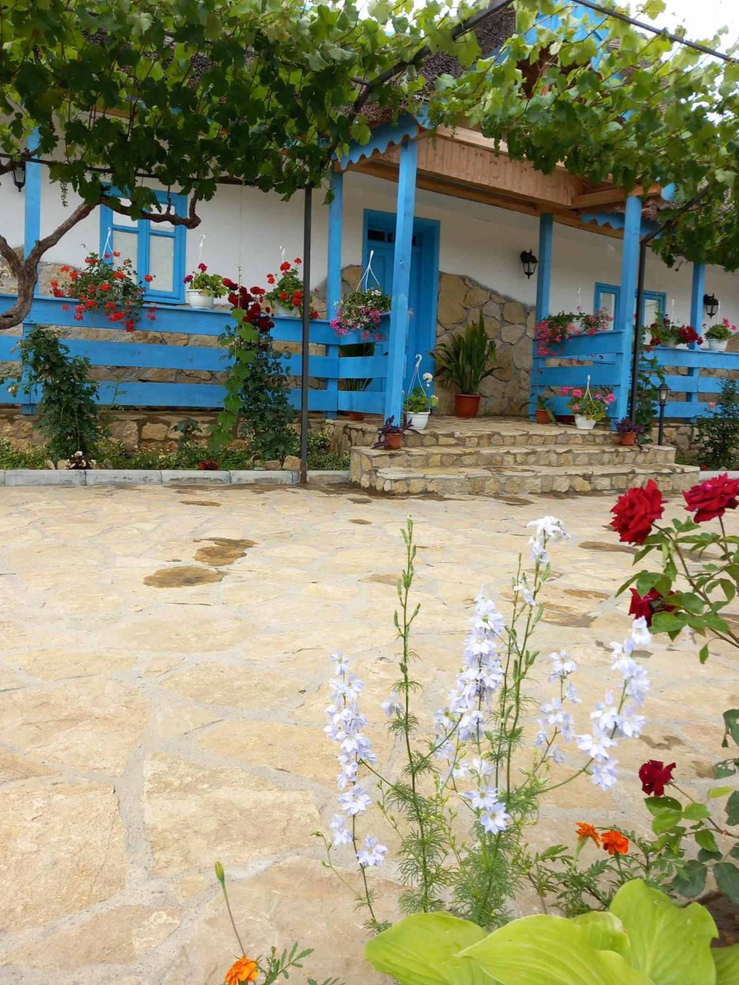 Casa Rasaritul Soarelui Sarichioi Hotel ภายนอก รูปภาพ