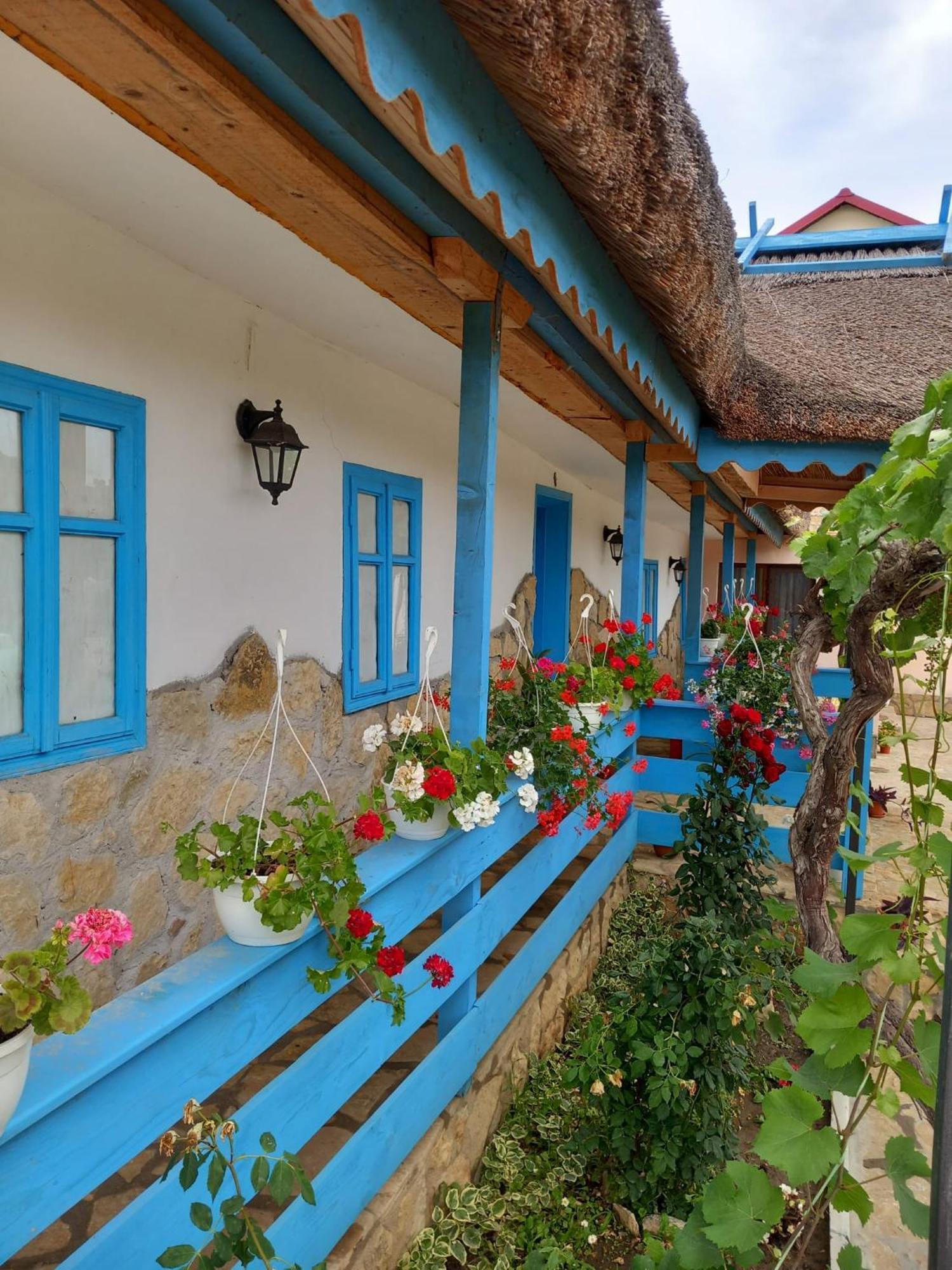 Casa Rasaritul Soarelui Sarichioi Hotel ภายนอก รูปภาพ